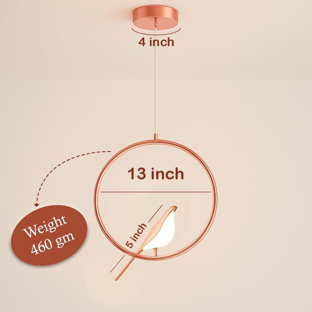 Designer Hanging Pendant Light