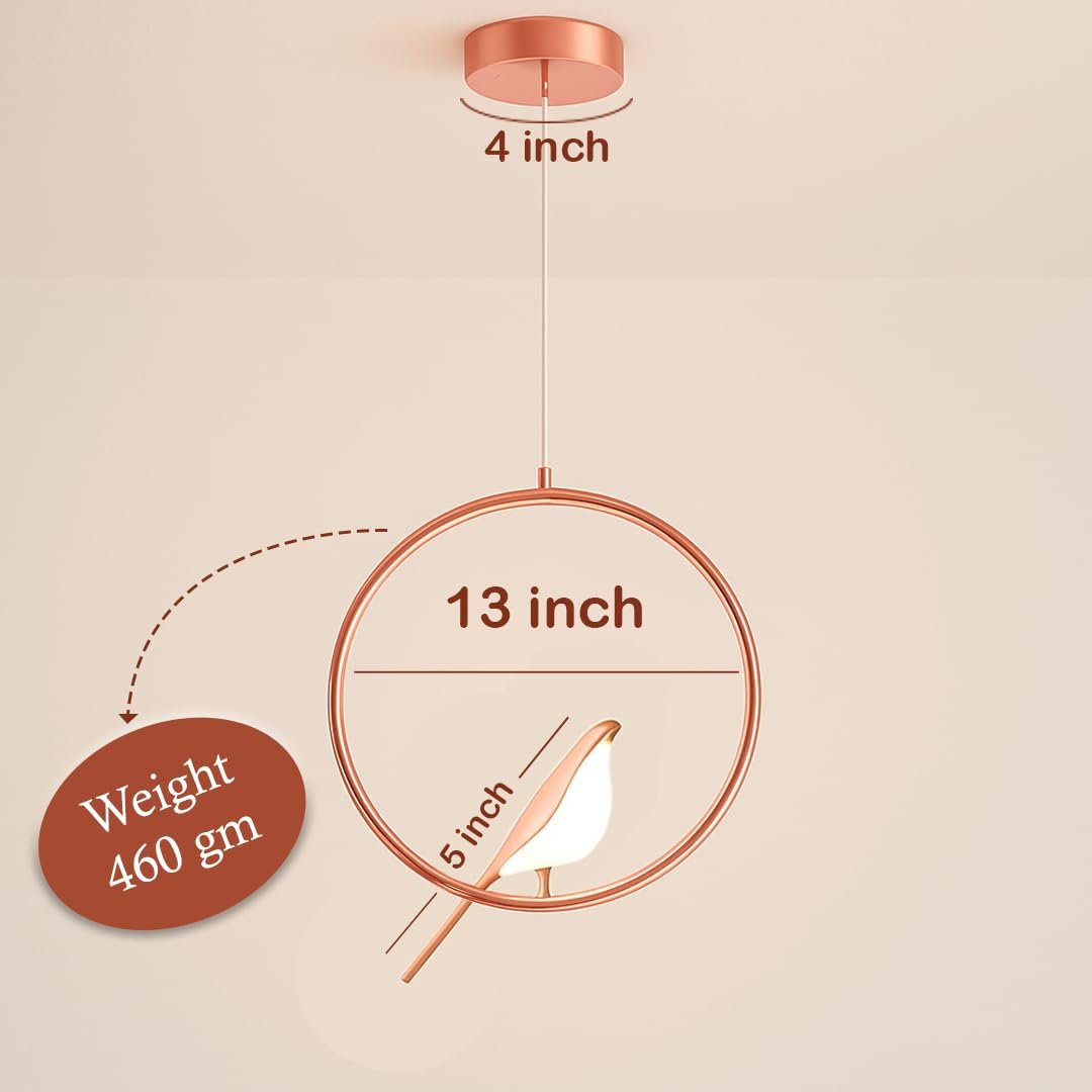 Designer Hanging Pendant Light - Image 2