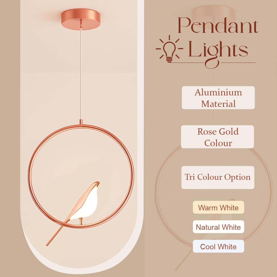 Designer Hanging Pendant Light - Image 3