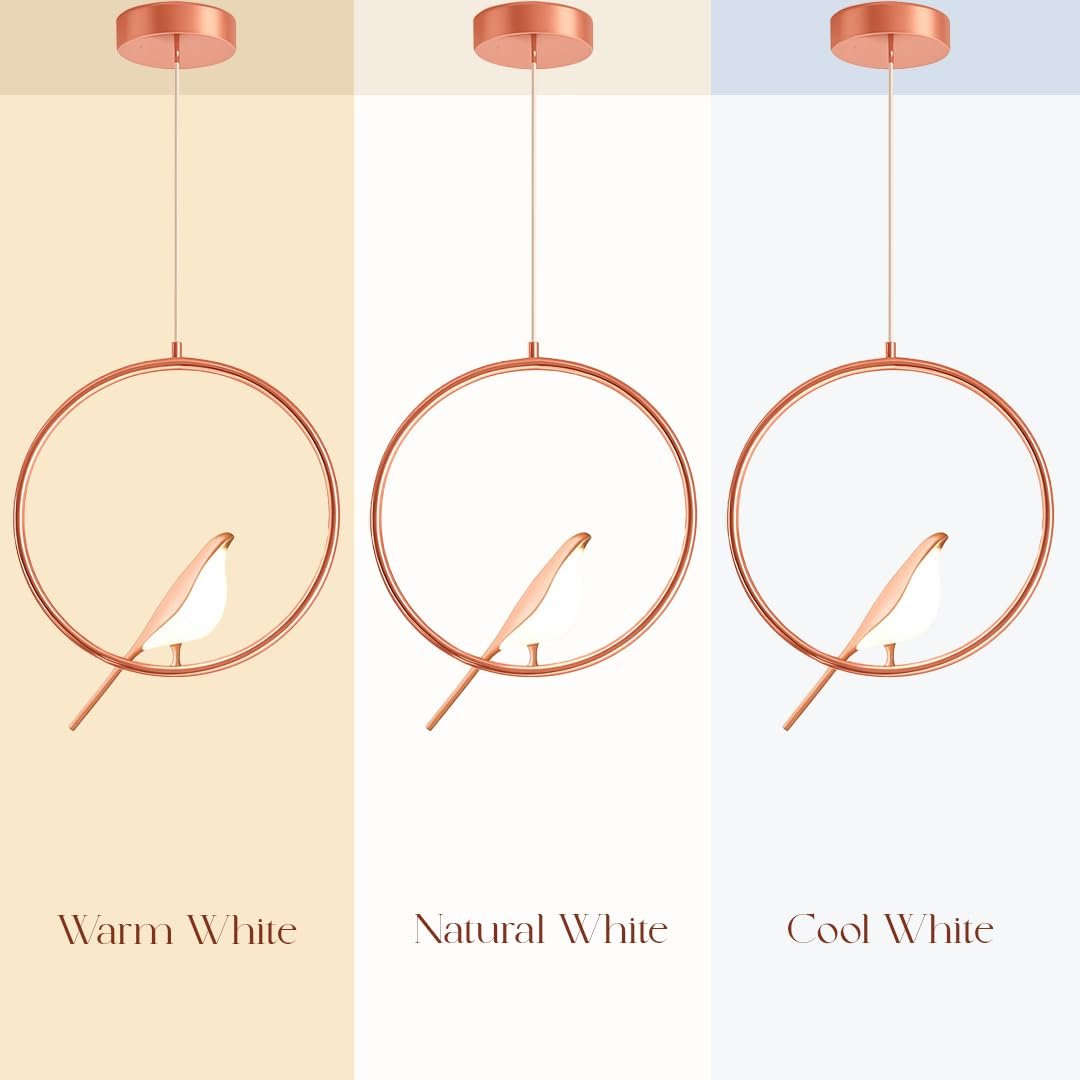 Designer Hanging Pendant Light - Image 5